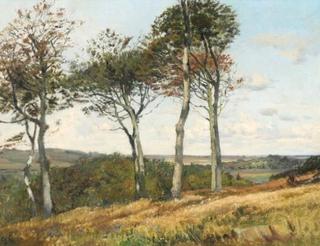 Autumn Landscape with tall Trees
