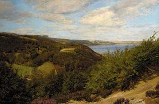 A Danish Lake Landscape on a Summers Day