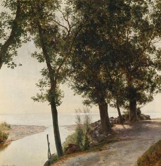 Landscape with the mouth of a stream on a summers day