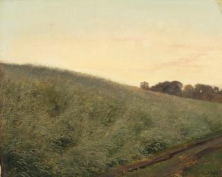 A Landscape