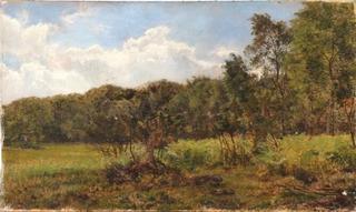 A Clearing on the Outskirts of the Forest