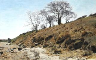 Beach Slope with Trees