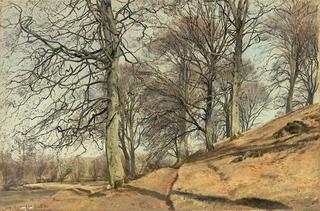 The Start of Spring