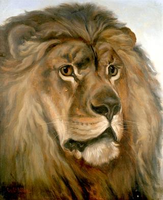 Head of a Lion