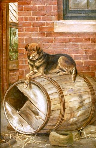 The Pet of the Family