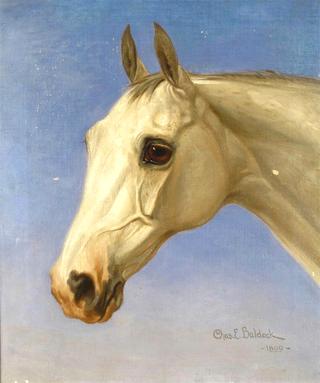 Study of a Horse's Head