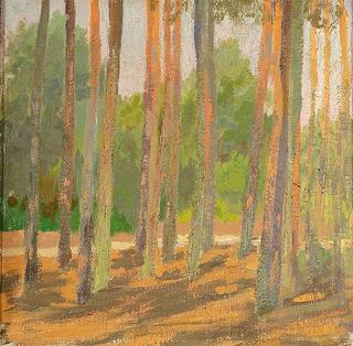 Sunny Forest
