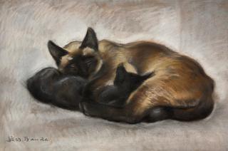 Cat and Her Little Ones