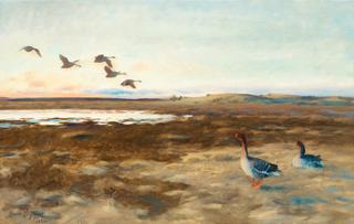 Bean Geese