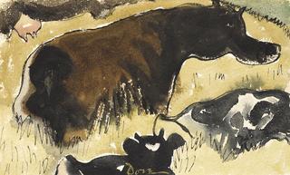 Brown Cow