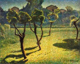 Sun on the Lawn