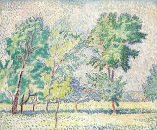 Summer Landscape