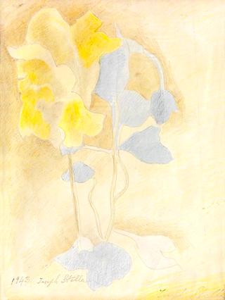 Still Life with a Vase of Flowers