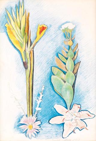 Floral Still Life