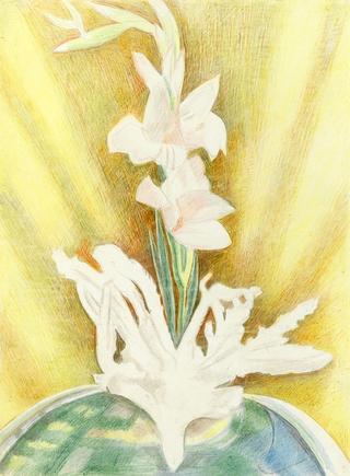 Gladiolas