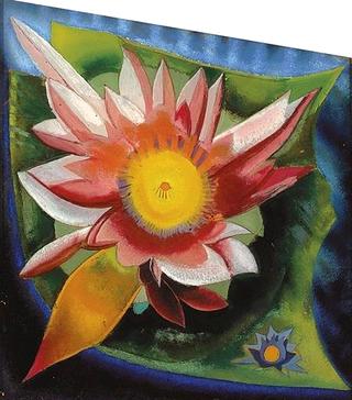 The Waterlily