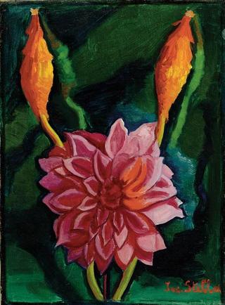 Pink Flower