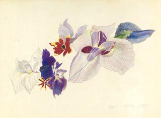Irises and Pansies