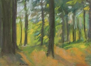 Sunlight Through Trees, Monhegan
