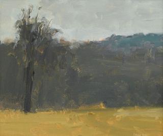 Field at Pittwillow Farm