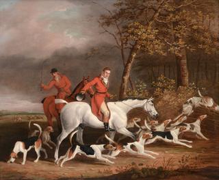 Lord Derby's Foxhounds