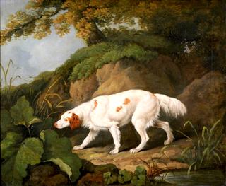 Irish Setter in a Wooded Landscape