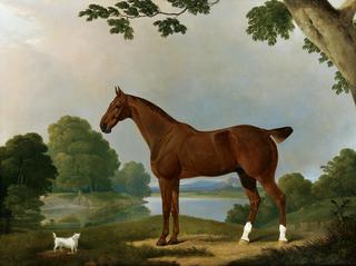 Aconbury, a Hunter, and Coaxer, a Terrier, in a Landscape