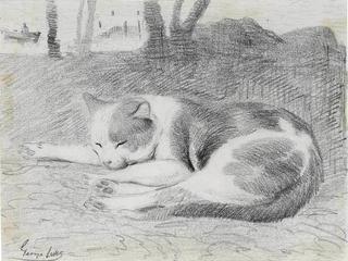 Study of a Cat