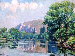 Rotenfels