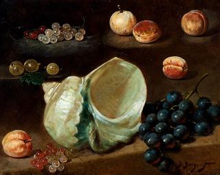 Study of shell and fruit