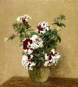 Double Petunias
