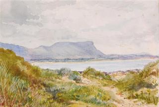 Shoreline View