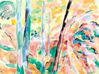 The Ravine