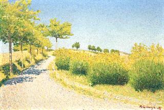 Road near Cailhau