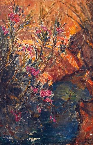 Flowers at Colomb-Bechare