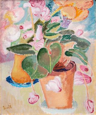 Cyclamen