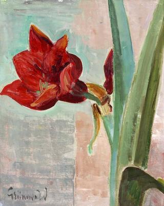 Still Life with Amaryllis