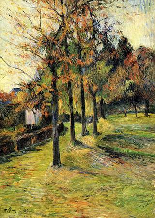Tree-Lined Road in Rouen