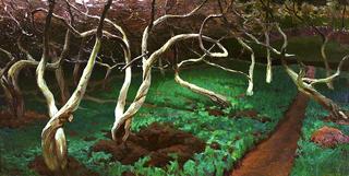 Old apple trees