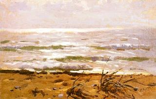 The Seashore