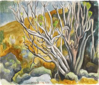 Tree, Landscape of Pedregal