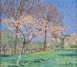 Spring Morning