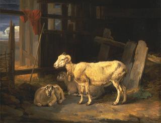 母羊和羔羊