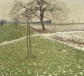 Niederrhein Landscape in early Spring