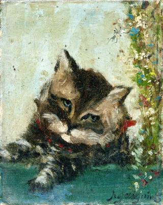Cat's Head