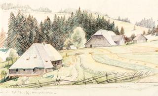 Autumn in the Black Forest