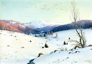 Winter Landscape in Freiburg