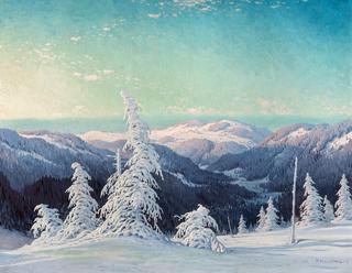 View from Feldberg to Schauinsland