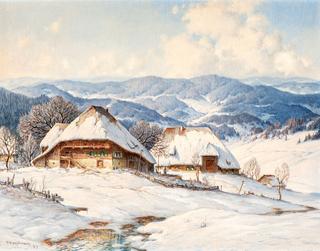First Snowmelt in the Black Forest