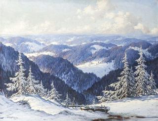 Snowy Landscape in the Black Forest